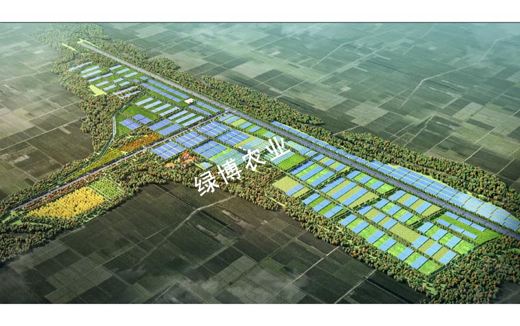菏澤巨野高效農業示范區鳥瞰圖