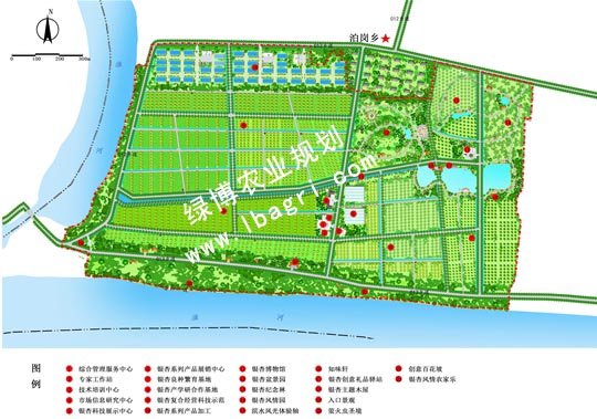 明光泊崗銀杏農業科技示范園規劃 
