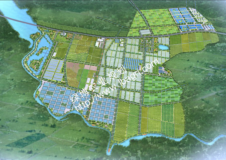 安徽瓦埠湖現代農業綜合開發示范區規劃效果