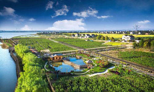 江蘇省級現代農業產業高質量發展示范園建設項